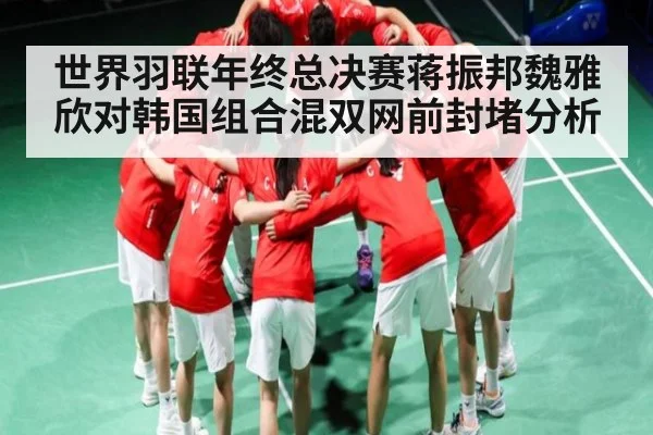 世界羽联年终总决赛蒋振邦魏雅欣对韩国组合混双网前封堵分析